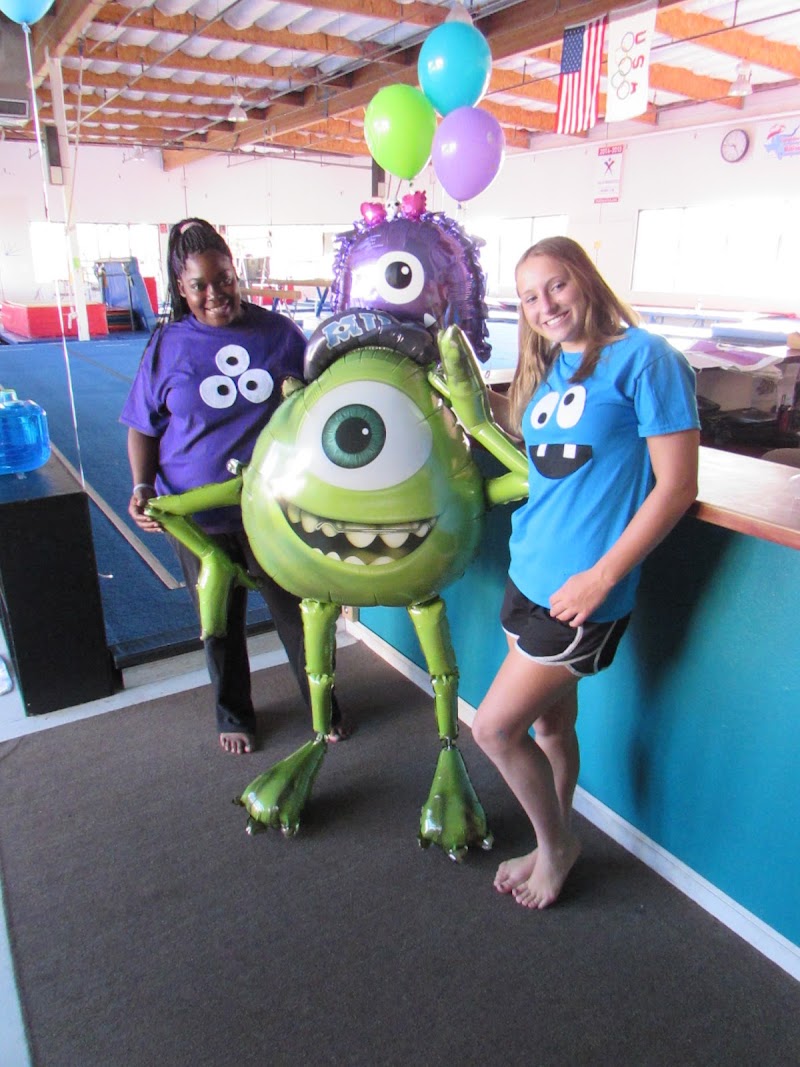 Four Stars Gymnastics Academy photo 3
