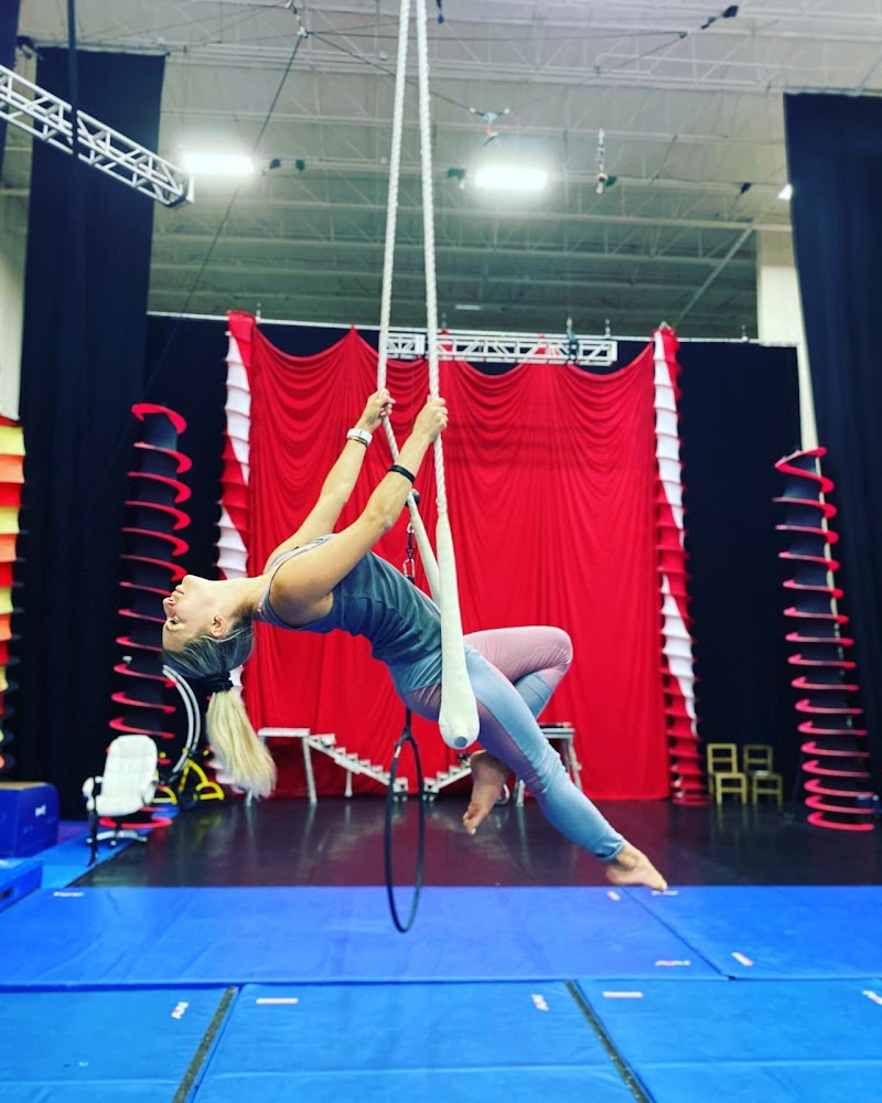 Acrobatic Division photo 2