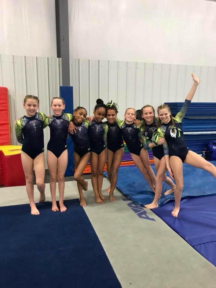 Westside Gymnastics photo 2