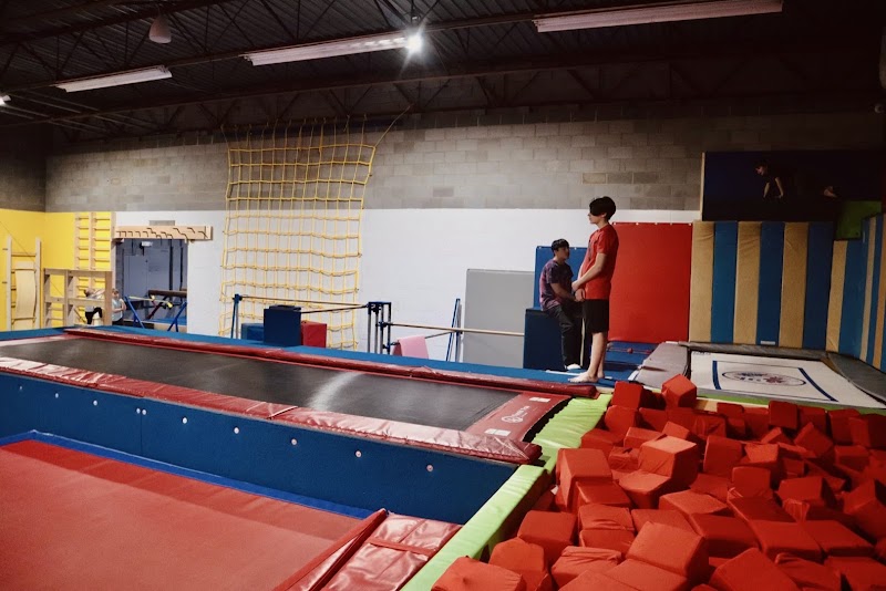 Gymnastics and Parkour School photo 2