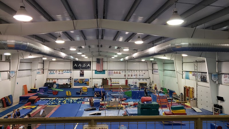 All Around Gymnastics Academy photo 2