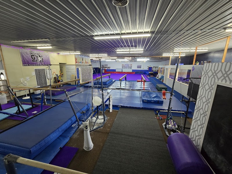 Gems Gymnastics photo 3