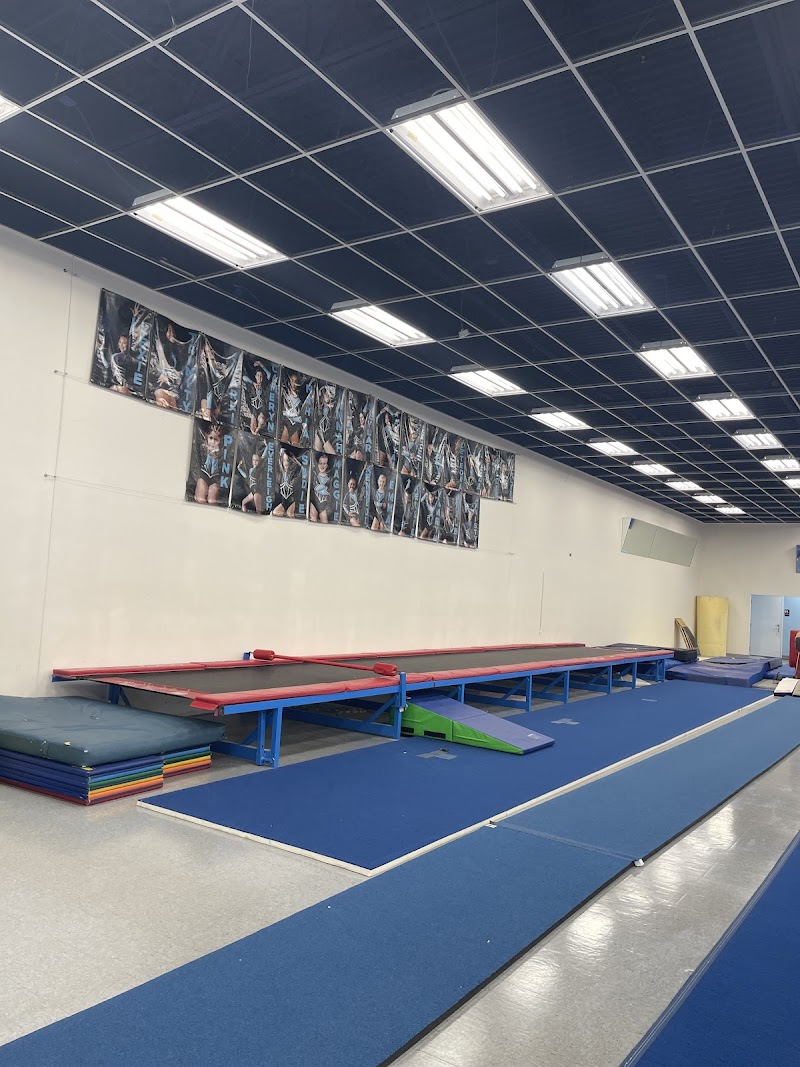 Vicki's School of Gymnastics