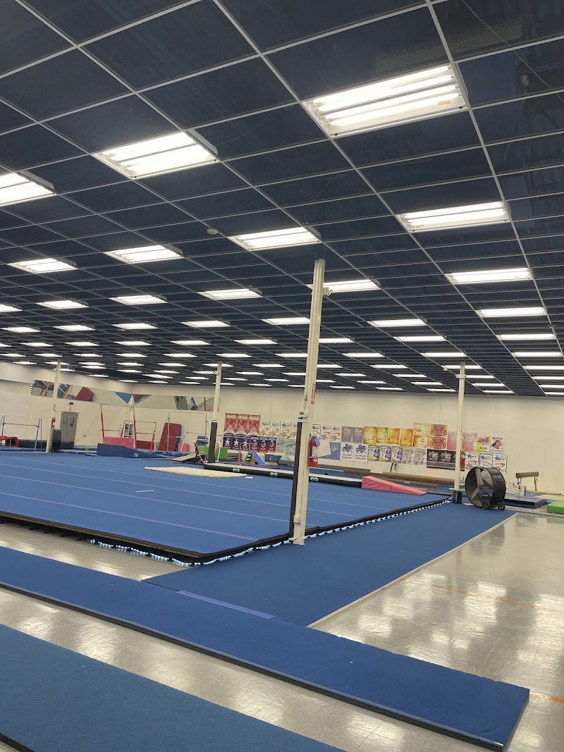 Vicki's School of Gymnastics photo 3