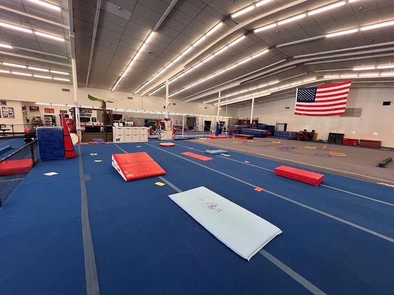 Gliders --- Charter Oak Gymnastics photo 3