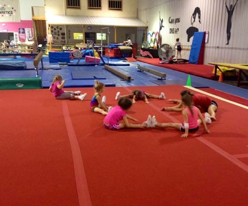 Danville Institute of Gymnastics