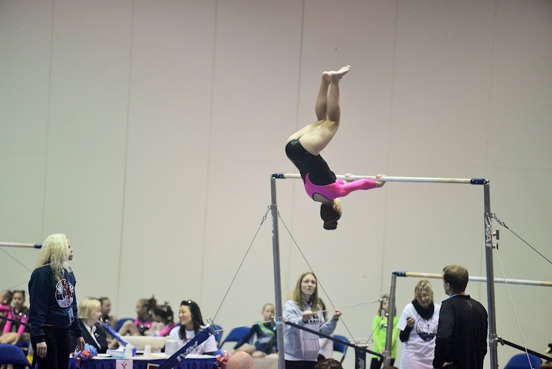 Danville Institute of Gymnastics photo 3