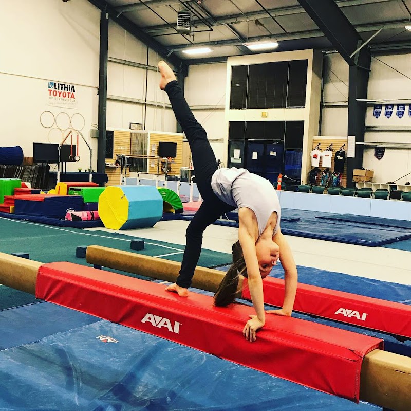 The US Gymnastics Academy photo 3