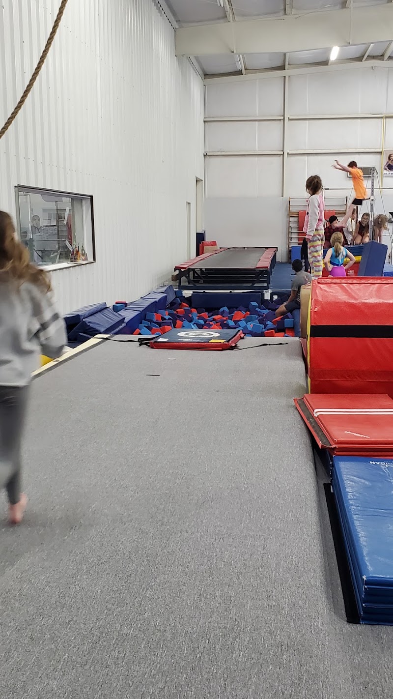 Level UP Gymnastics photo 2