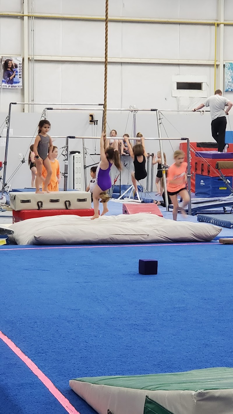 Level UP Gymnastics photo 3