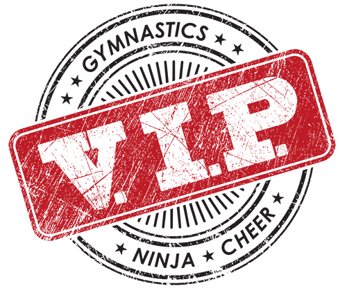 V.I.P. Gymnastics Ninja and Cheer photo 1