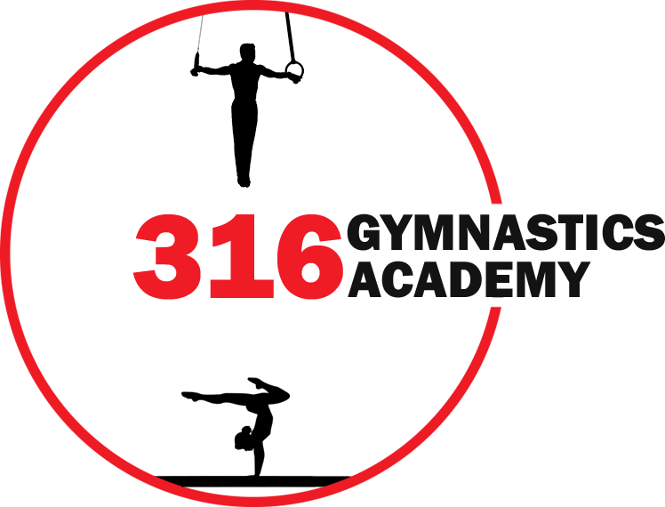 316 Gymnastics Academy photo 3