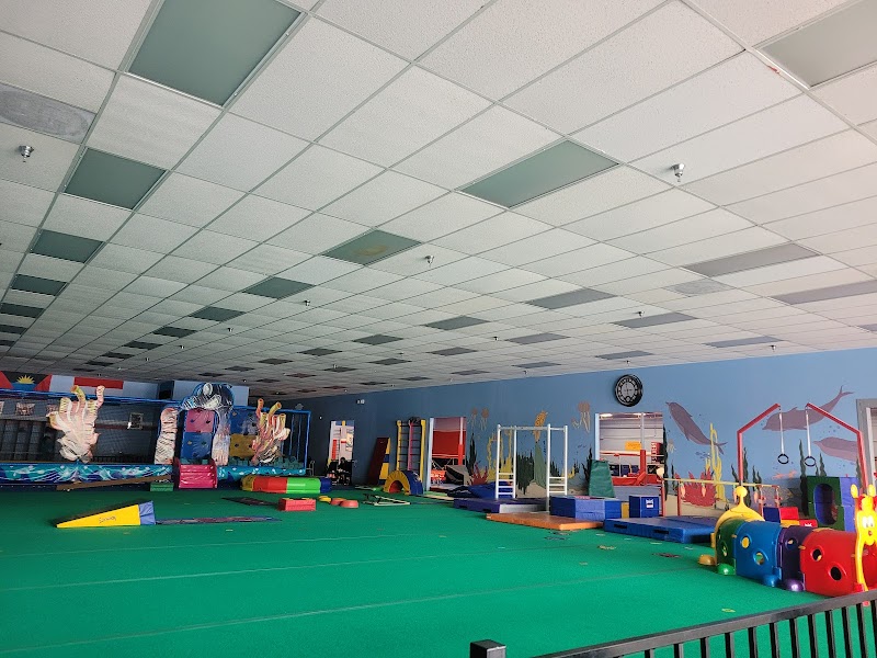 Realis  Gymnastics Academy