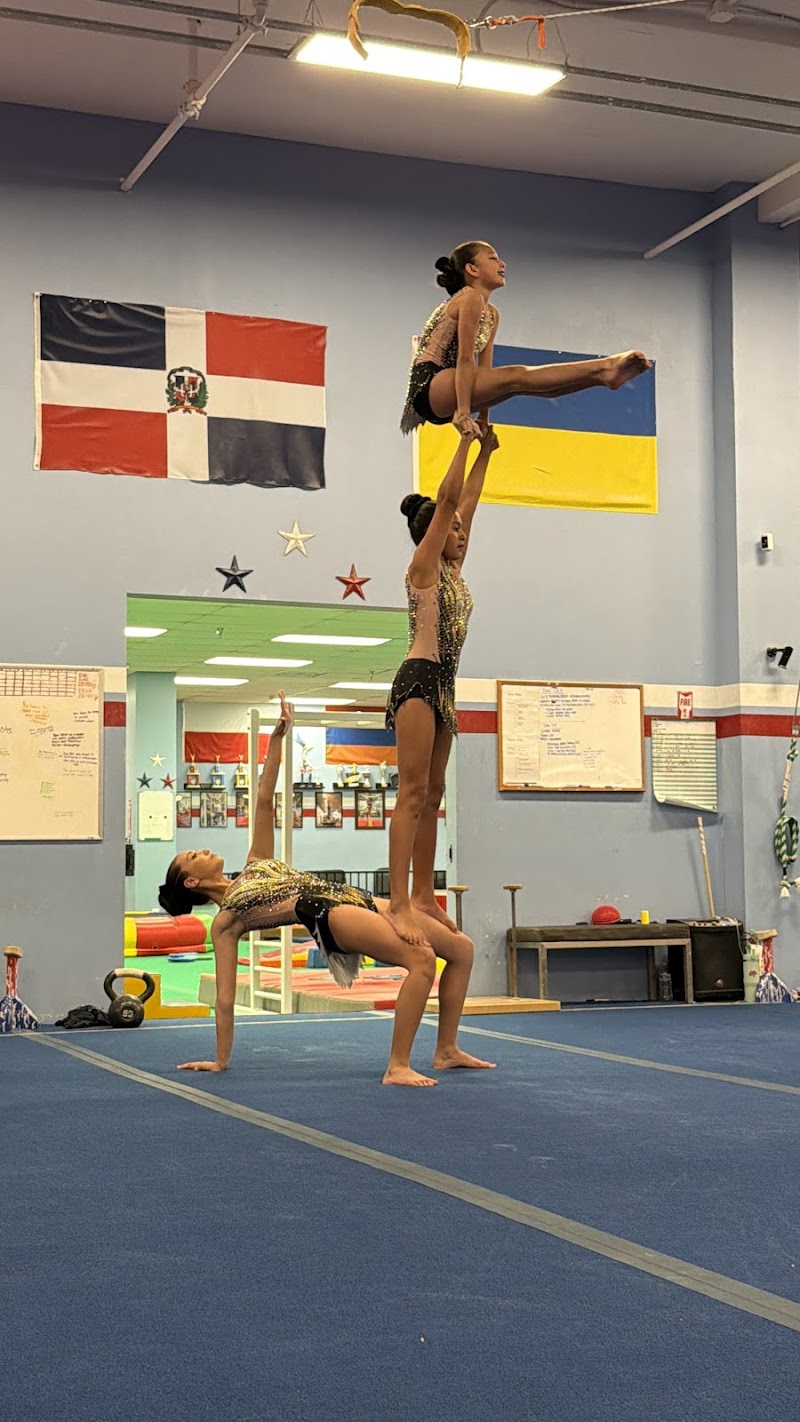 Realis Gymnastics Academy photo 3