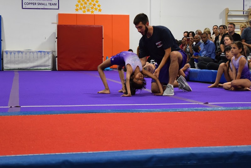 Artistic Gymnastics photo 2