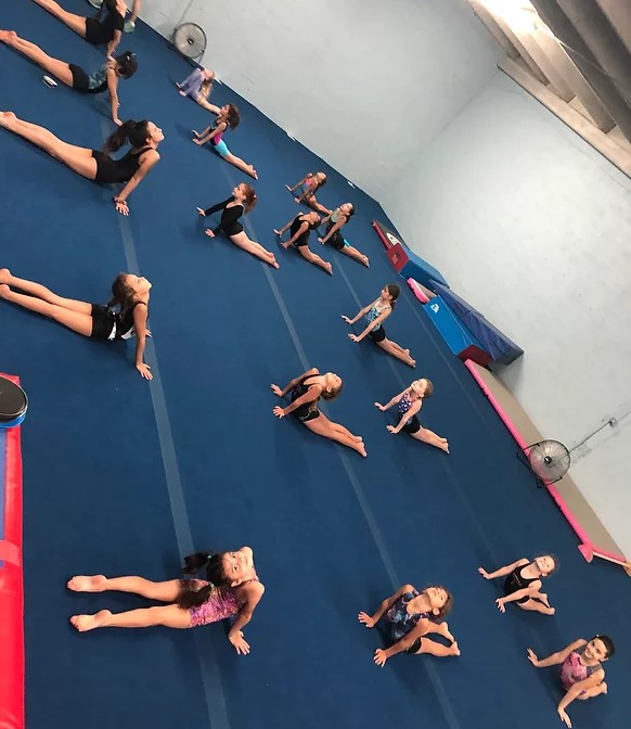 World Class Gymnastics photo 2