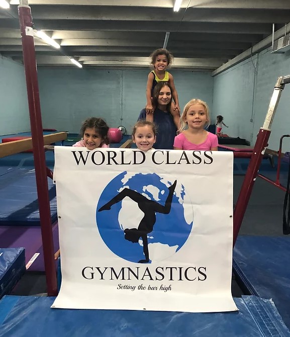 World Class Gymnastics photo 3