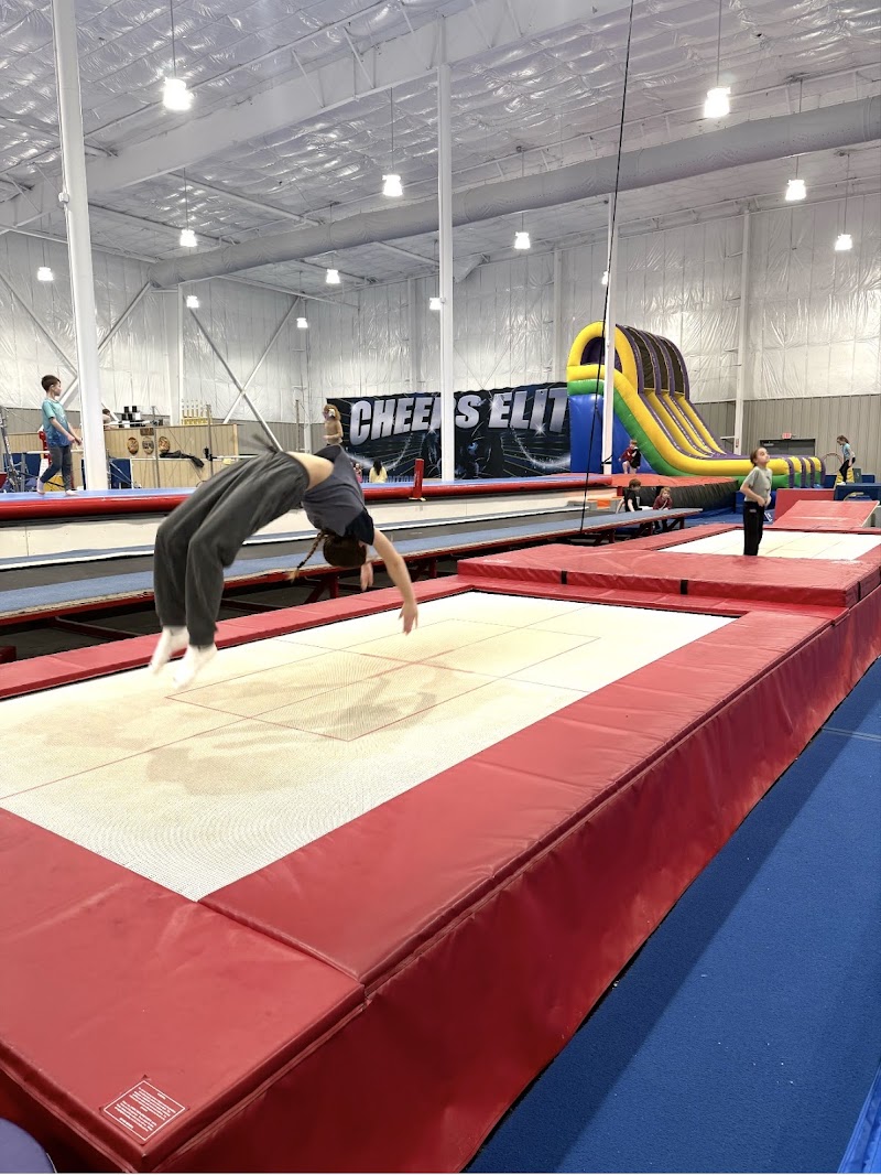 Lakewood Gymnastics photo 2