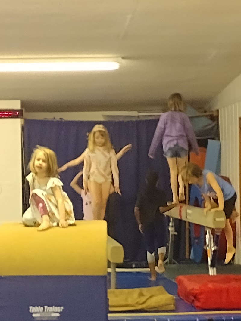 Crowley's Gymnastics Center photo 2
