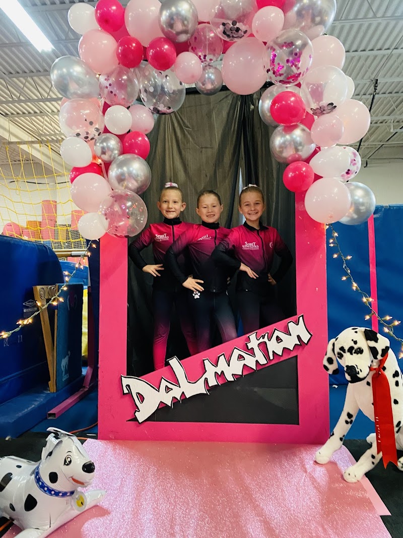 Spirit Gymnastics Training Center photo 3