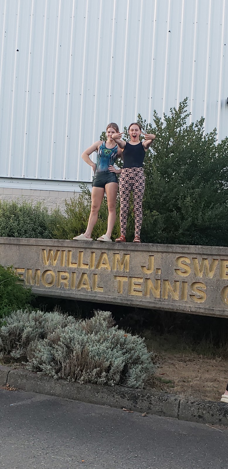Gymnastics Plus photo 3
