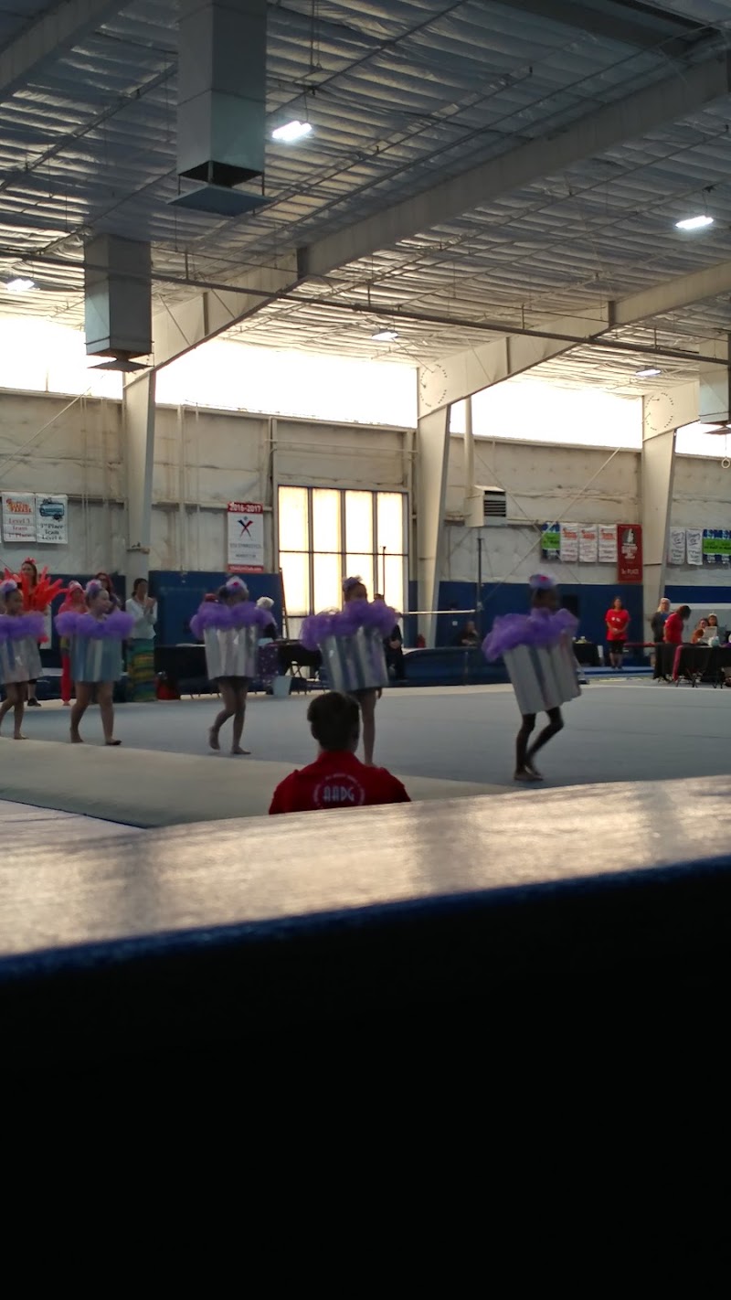 Impact Gymnastics photo 2