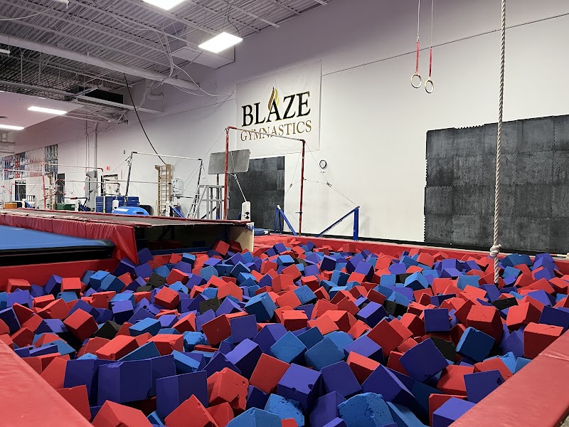 Blaze Gymnastics photo 3