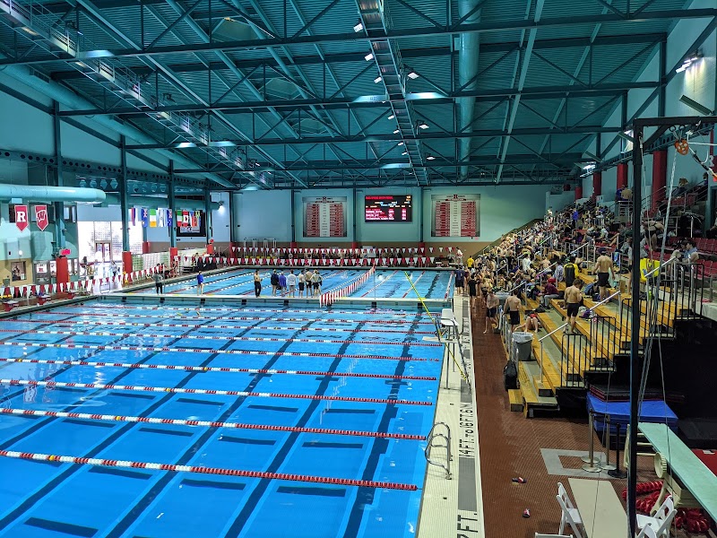 Gym University photo 2