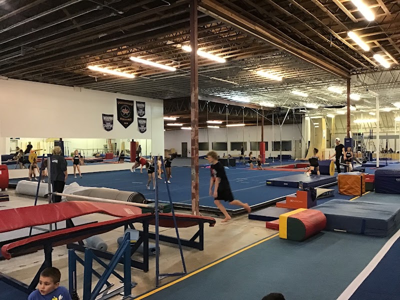 Kinetic Gymnastics photo 2
