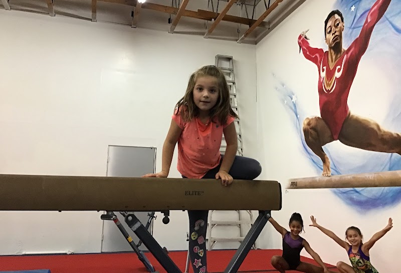 Kinetic Gymnastics photo 3