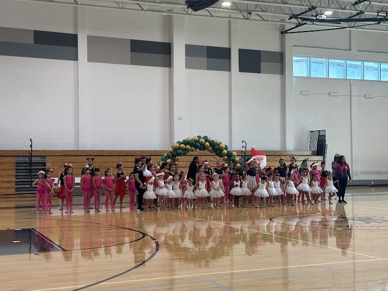 Miami’s Stars Gymnastics photo 2