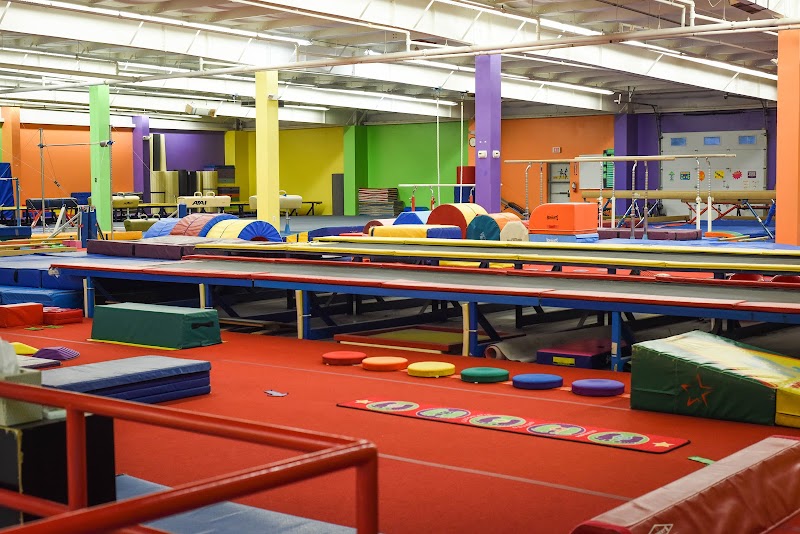 Lone Star Gymnastics photo 2