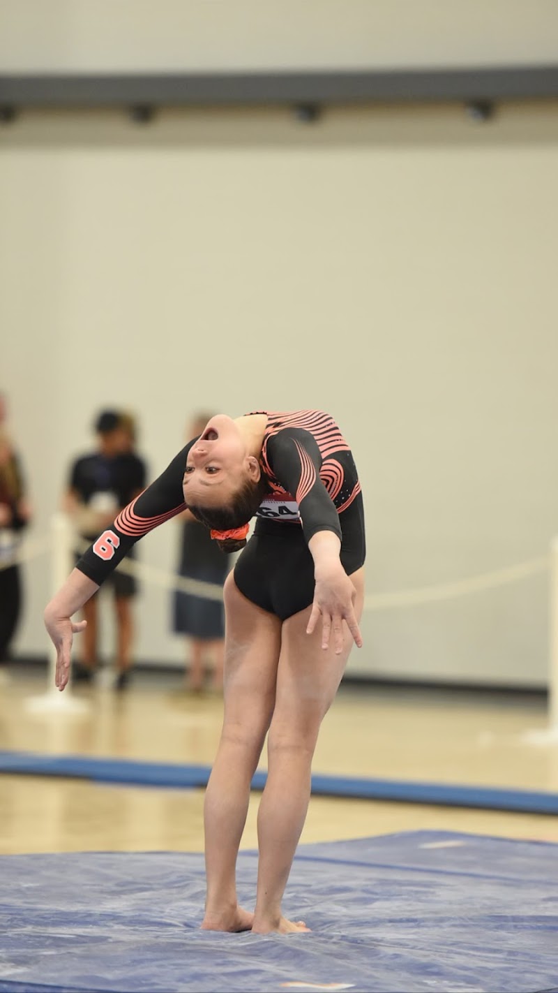Gymnastique Incorporated photo 3