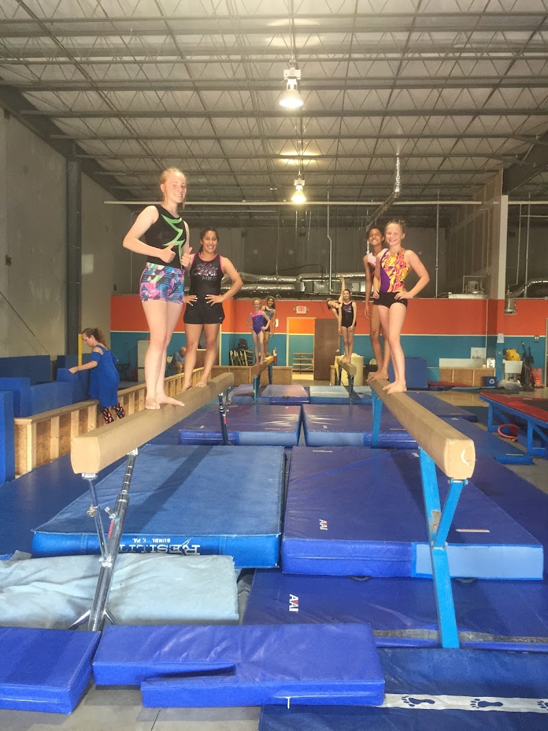 Elite Mind and Body Gymnastics photo 3