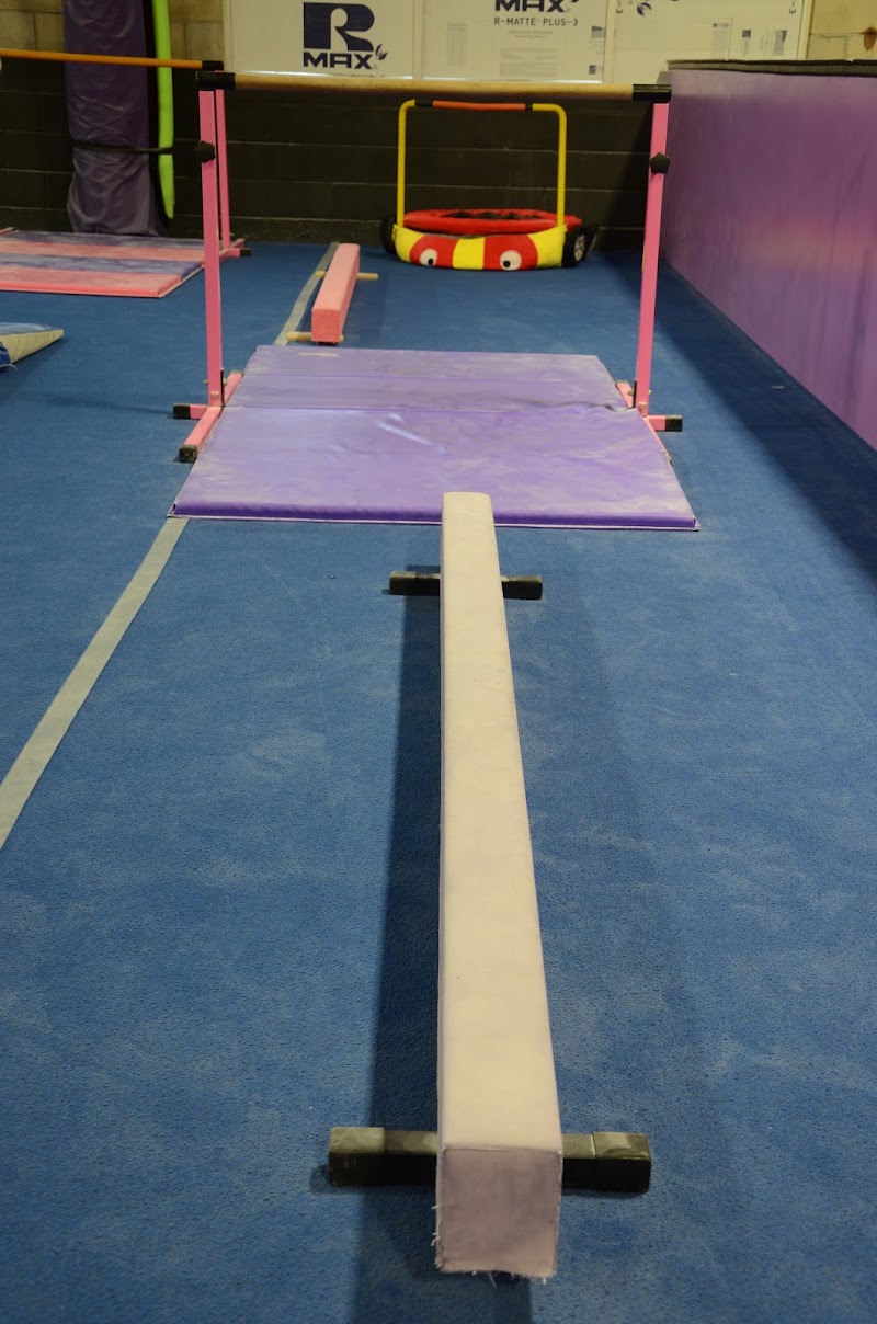 World Class Gymnastics & Cheerleading photo 3