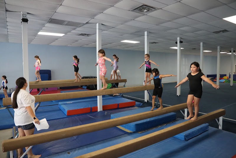 GymCats Gymnastics Academy, LLC