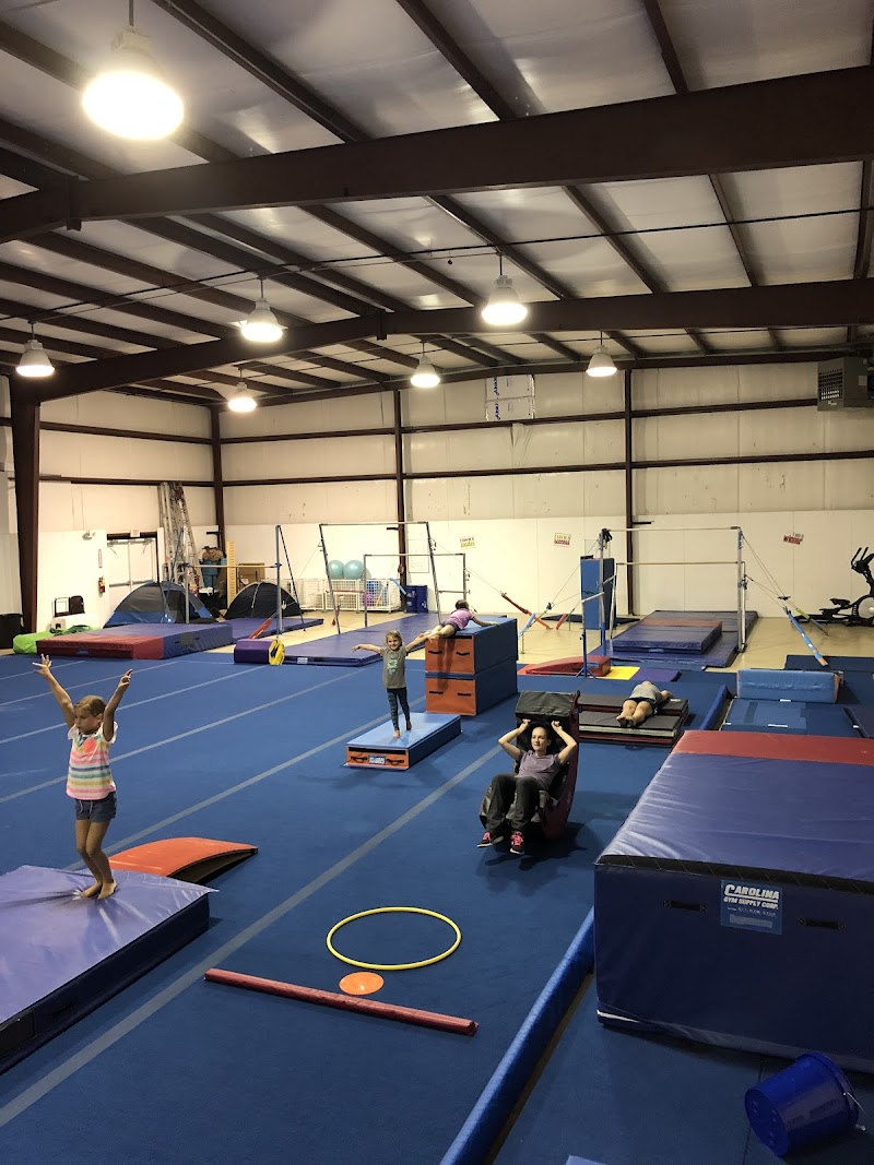 Airborne Gymnastics LLC photo 3