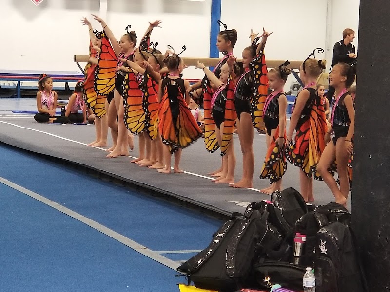 Alpha Gymnastics photo 2