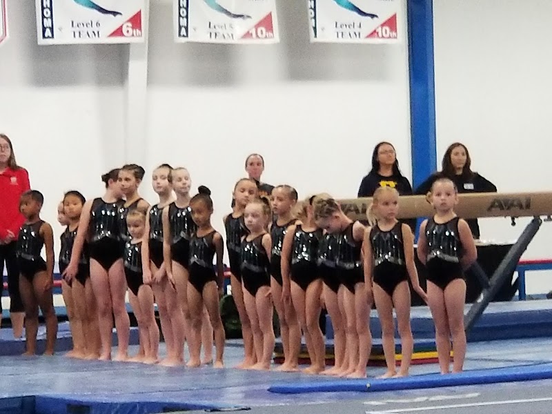 Alpha Gymnastics photo 3