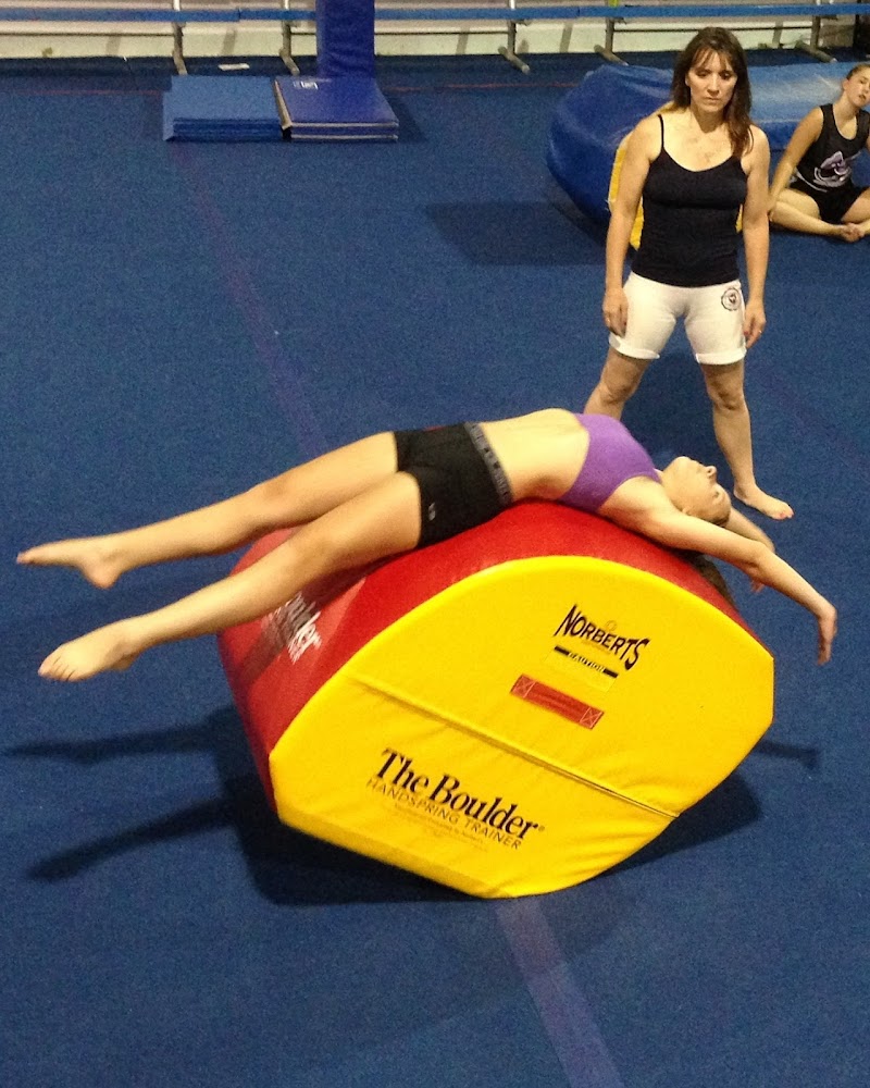 Starz Gymnastics photo 3
