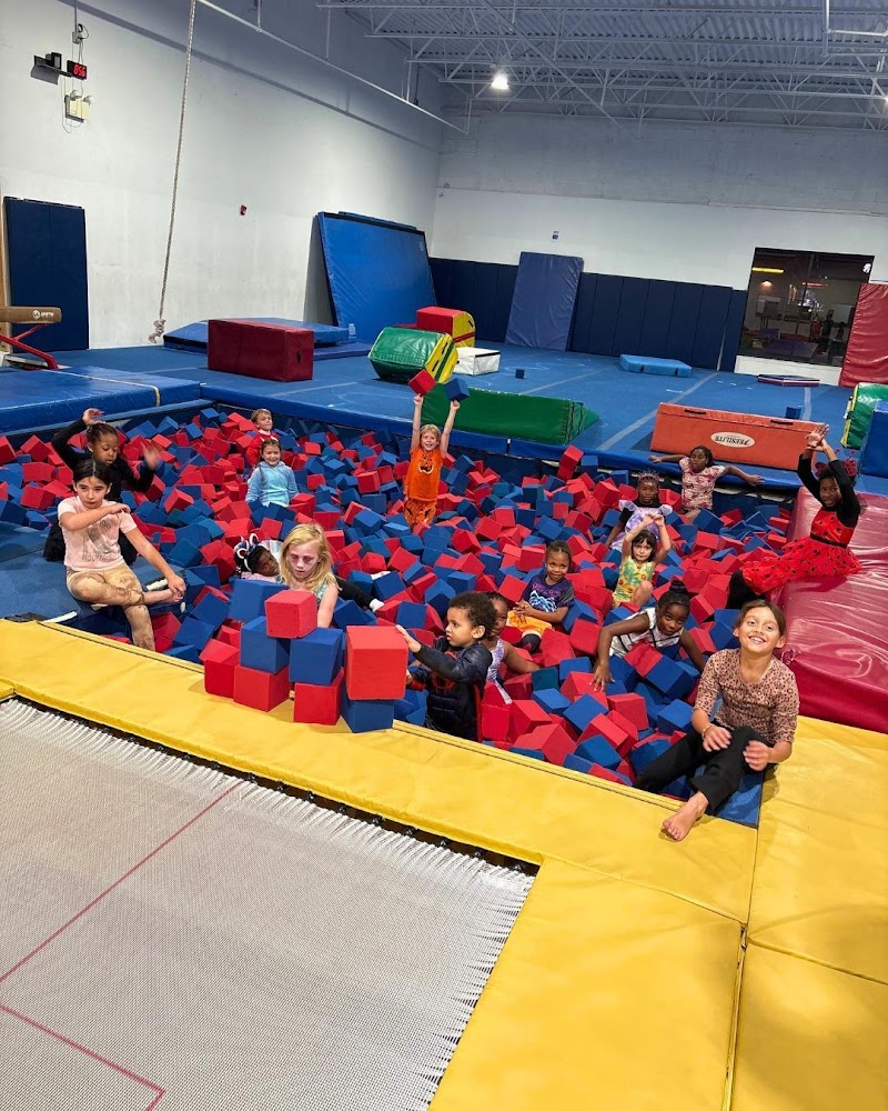 All Around Gymnastics Academy