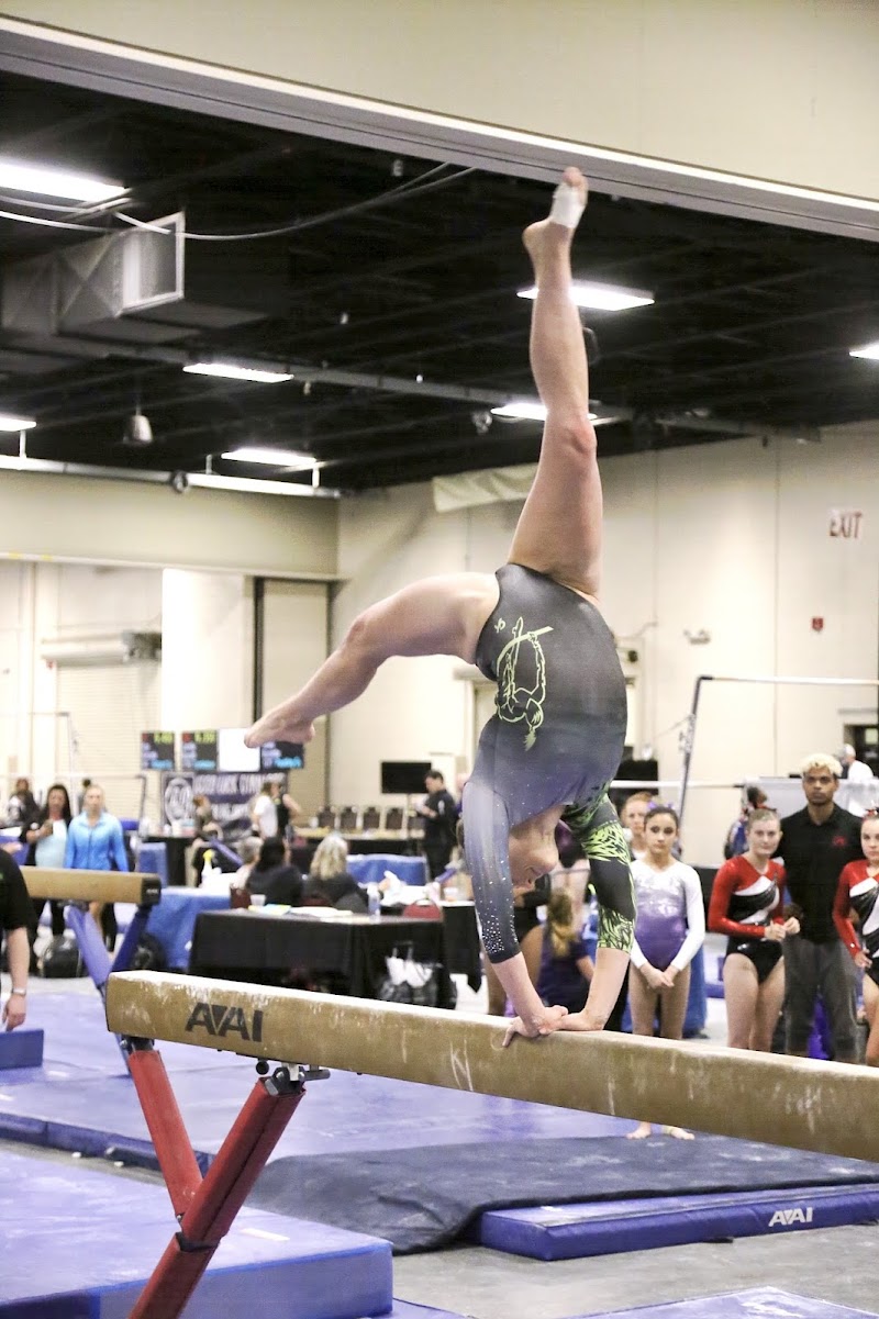 Sandhills Academy of Gymnastic photo 3
