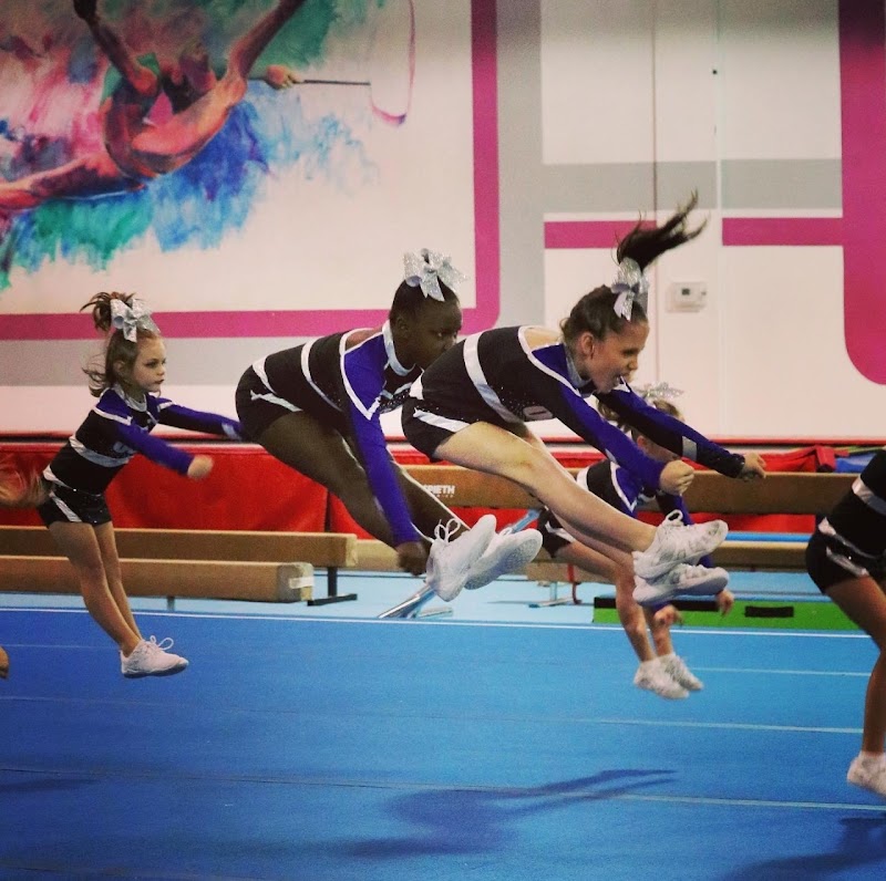 Omega Gymnastics