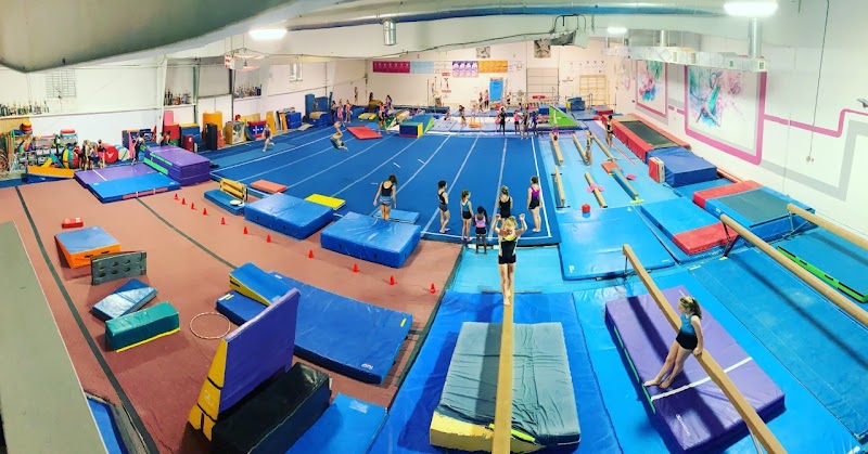 Omega Gymnastics photo 2