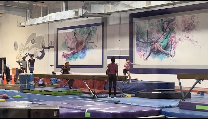 Omega Gymnastics photo 3