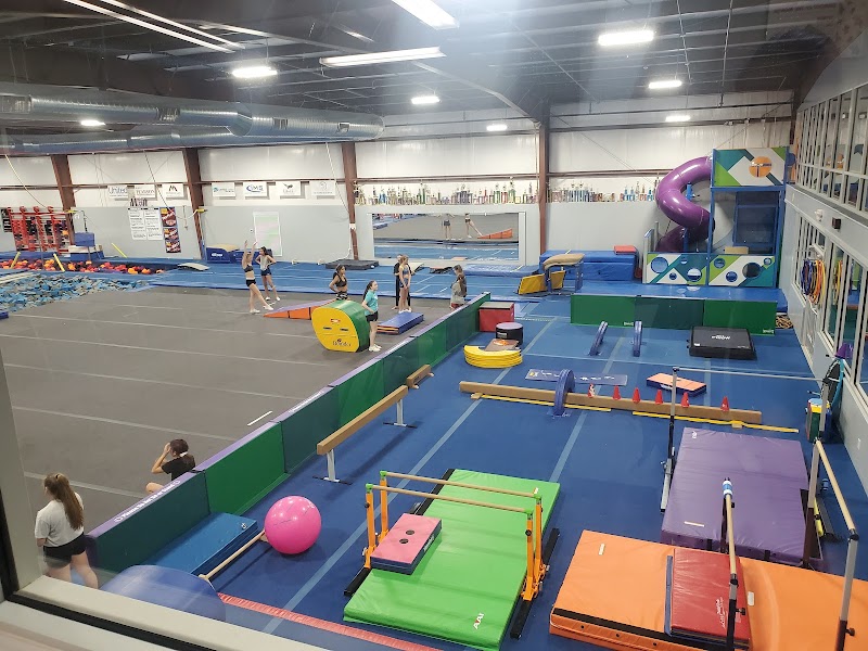 Power In Motion Gymnastics