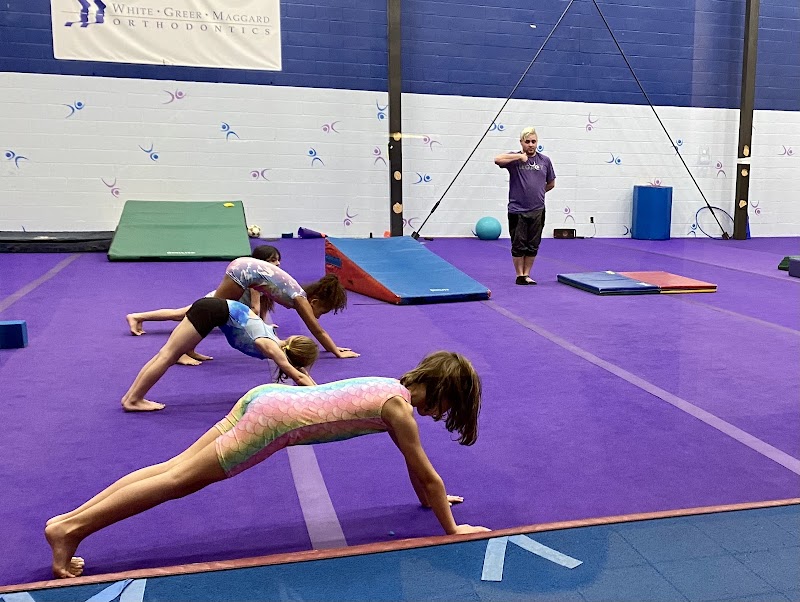 Legacy Gymnastics LLC photo 3
