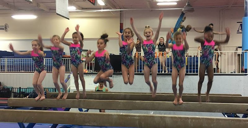 Bartkus Gymnastics photo 3