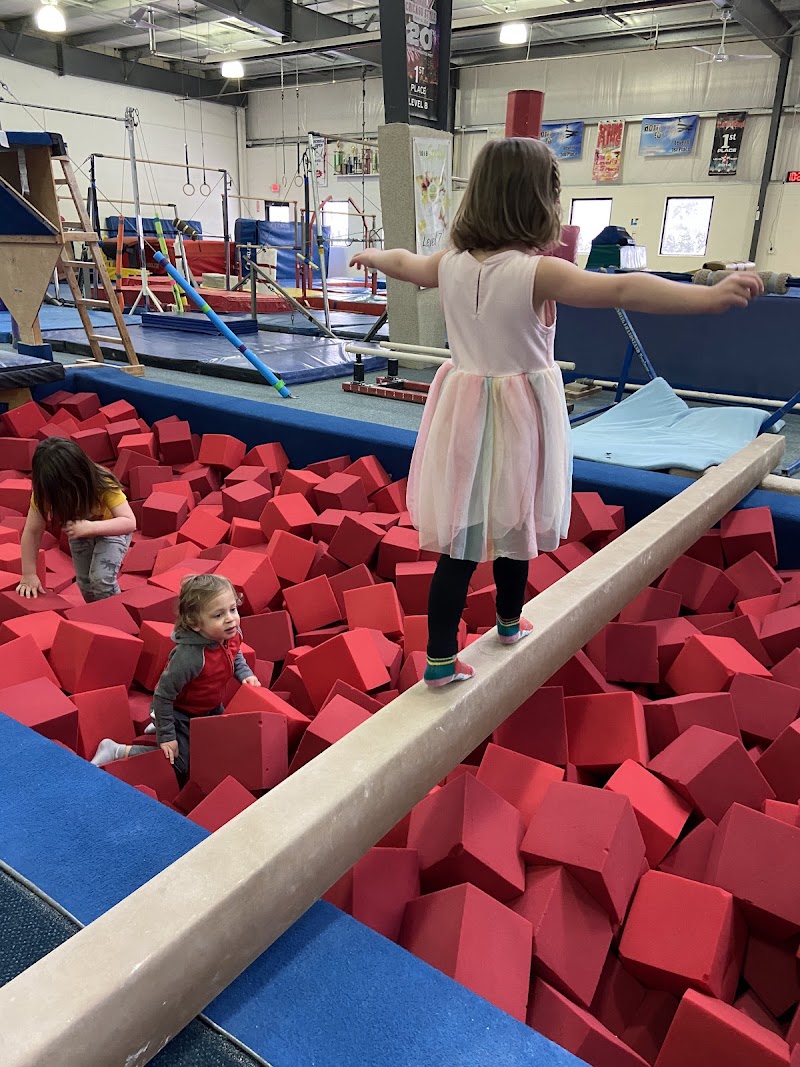 Michigan Academy of Gymnastics photo 2