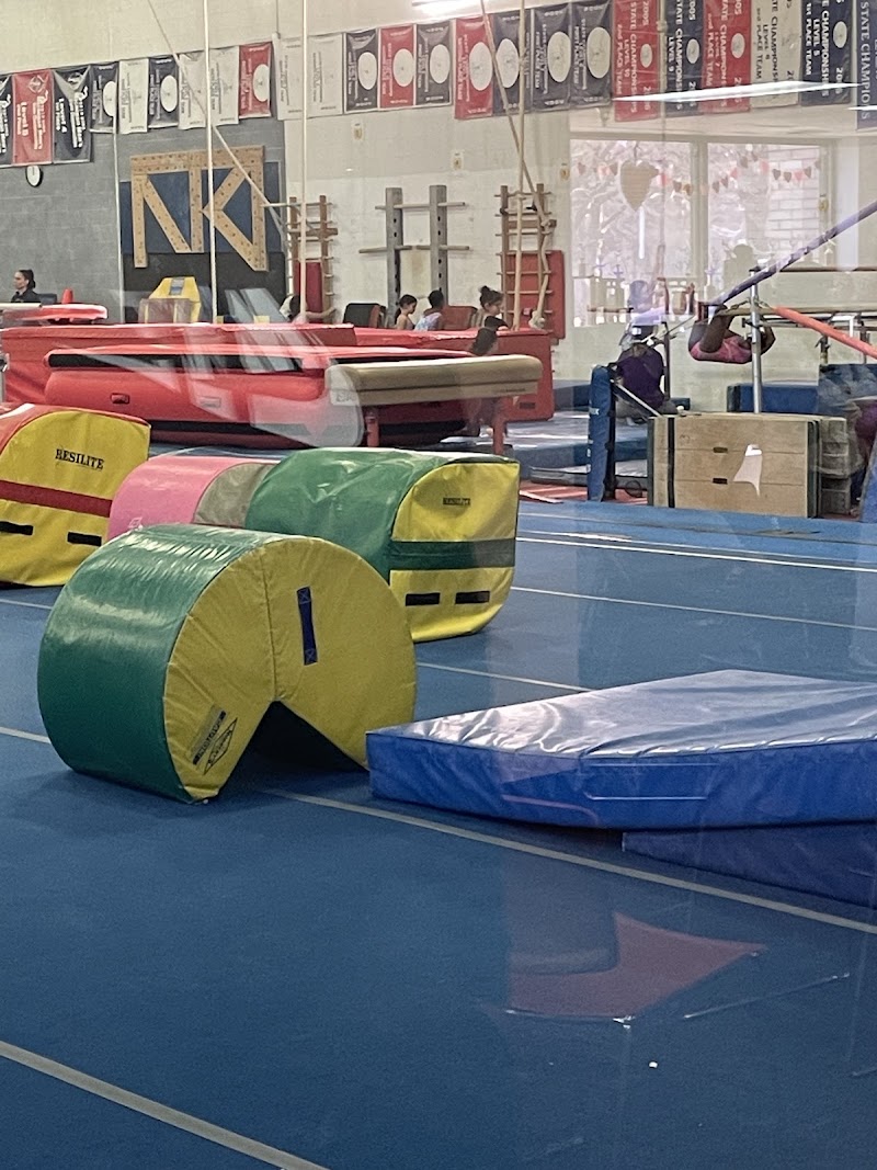 Michigan Academy of Gymnastics photo 3